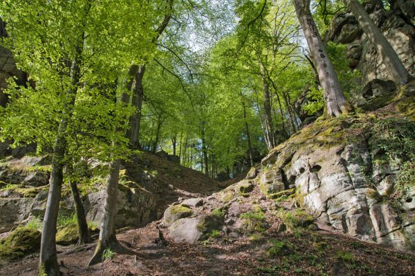 Naturereignisse in Eifel und Hunsrück